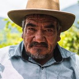 Fernando R.